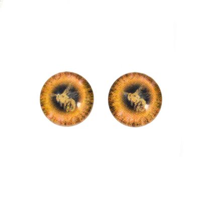 Queen Bee Glass Eyes Honey Bumble Bug Insect Black Yellow Orange Art Dolls Taxidermy Sculptures or Jewelry Making Crafts Matching Set of 2 (8mm)