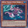 Wiz, Sage Fur Hire - DASA-EN022 - Secret Rare - 1st Edition view 1