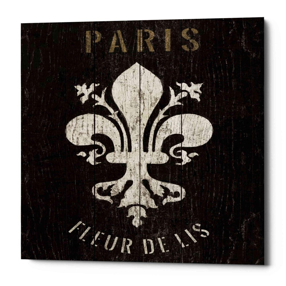 Epic Graffiti 'Refurbished Fleur-de-lis' by Wild Apple Portfolio, Canvas Wall Art, 20"x24"