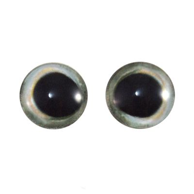 14mm Pair of Skipjack Tuna Fish Eyes Glass Eye for Taxidermy Sculptures or Jewelry Making Pendants Crafts Art Doll Wire Wrapping DIY Flatback Cabochon