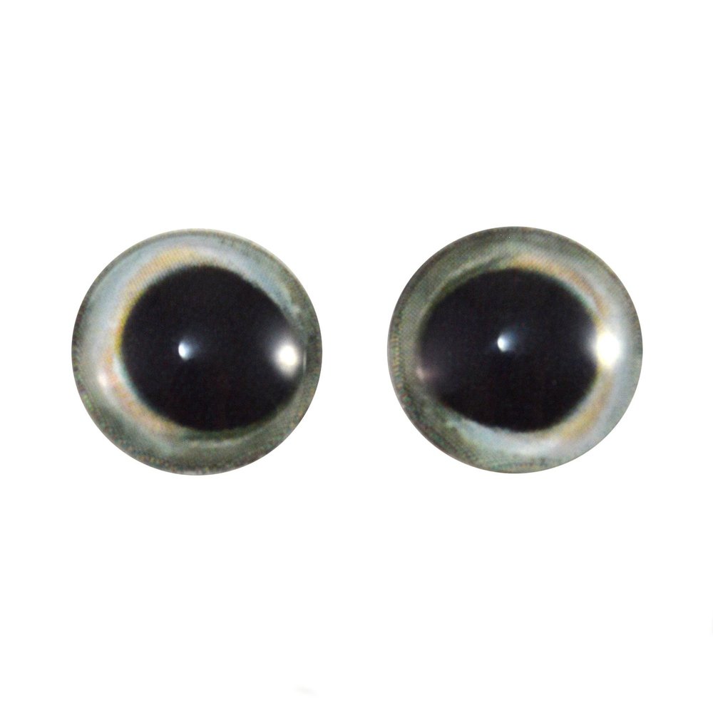 14mm Pair of Skipjack Tuna Fish Eyes Glass Eye for Taxidermy Sculptures or Jewelry Making Pendants Crafts Art Doll Wire Wrapping DIY Flatback Cabochon