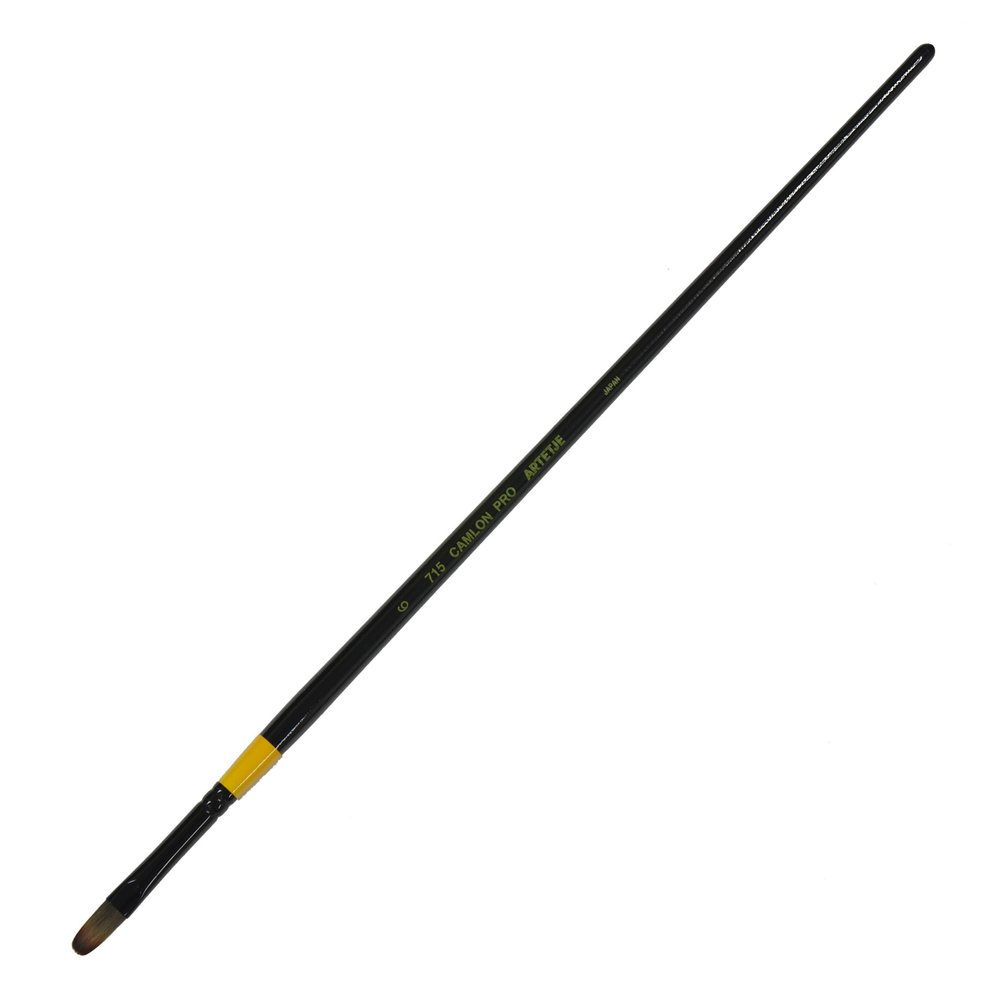 arute-zyu kyamuronpuro 715 6 # # # # 164106