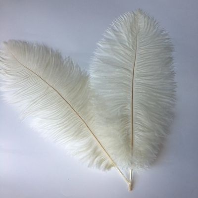 Sowder 10-12inch(25-30cm) Ostrich Feathers Plume for Wedding Centerpieces Home Decoration Pack of 10pcs(Ivory)