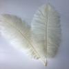 Sowder 10-12inch(25-30cm) Ostrich Feathers Plume for Wedding Centerpieces Home Decoration Pack of 10pcs(Ivory) view 1