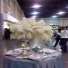 Sowder 10-12inch(25-30cm) Ostrich Feathers Plume for Wedding Centerpieces Home Decoration Pack of 10pcs(Ivory) view 3
