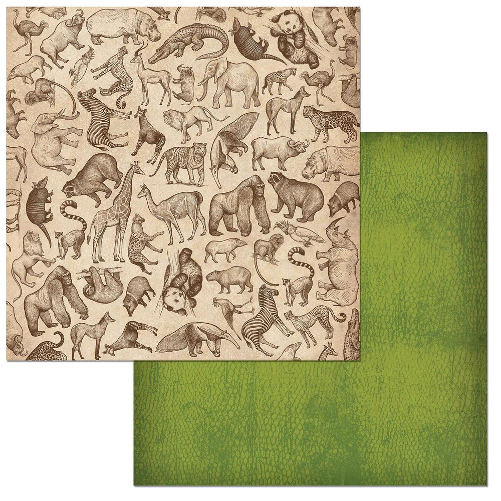 Bo Bunny Paper Wildlife, 12-x-12-Inch, Multicolor