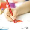 Maruman Sketchbook Coloring Books Pattern Series A3 5 Reams s115x5 Set view 2