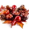 Factory Direct Craft Autumn Pinecones, Raffia, Berry Cluster, Pumpkin and Gourd Kit, for Home Decorating or Fall Weddings view 1