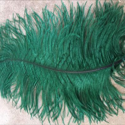 5 Pcs Large Ostrich Feathers 20-22 inches (Hunter Green)