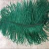 5 Pcs Large Ostrich Feathers 20-22 inches (Hunter Green) view 2