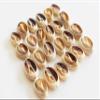 FSG - 200 Select Center Cut Ringtop Cowrie Shells (1/2" -1" / 12-25 mm) Beach Crafts Ocean Jewelry Nautical Decor view 1