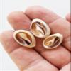 FSG - 200 Select Center Cut Ringtop Cowrie Shells (1/2" -1" / 12-25 mm) Beach Crafts Ocean Jewelry Nautical Decor view 2