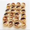 FSG - 200 Select Center Cut Ringtop Cowrie Shells (1/2" -1" / 12-25 mm) Beach Crafts Ocean Jewelry Nautical Decor view 4