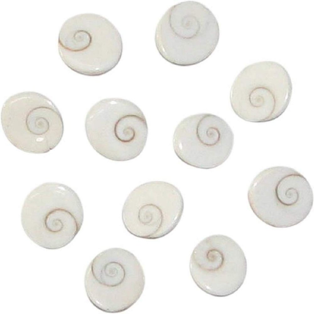 numeroastro Natural Gomti Chakra Big(Set of 11) - 2 Cms Approx.