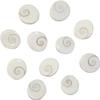 numeroastro Natural Gomti Chakra Big(Set of 11) - 2 Cms Approx. view 1