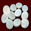 numeroastro Natural Gomti Chakra Big(Set of 11) - 2 Cms Approx. view 2