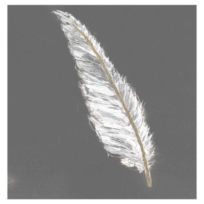 Global Gallery Gold Feathers VI on Grey -PaperArt-27.6" x42