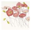 Global Gallery Black Line Poppies I Watercolor -PaperArt-26 x26 view 1