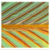 Global Gallery Close up of Feather Showing barbules Branching Off from Barb and Tiny barbicels-Paper Art-38"x26" view 1