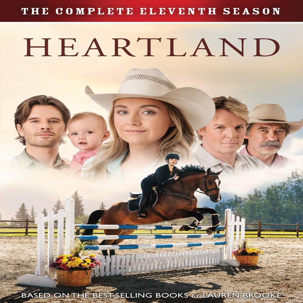Heartland: Season 11 [DVD]