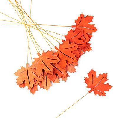 Factory Direct Craft Orange Wooden Maple Leaf Picks Set of 12 - Orange Fall Leaf Cutouts for Thanksgiving and Halloween Arrangements and Decorating (12-1/2 Inches High)