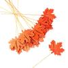Factory Direct Craft Orange Wooden Maple Leaf Picks Set of 12 - Orange Fall Leaf Cutouts for Thanksgiving and Halloween Arrangements and Decorating (12-1/2 Inches High) view 1