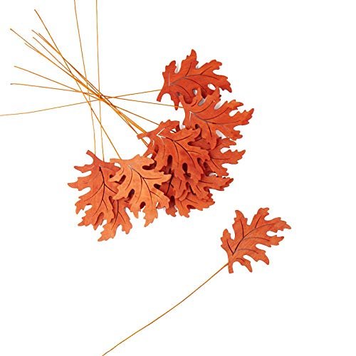 Factory Direct Craft Orange Wooden OakLeaf Picks Set of 12 - Orange Fall Leaf Cutouts for Thanksgiving and Halloween Arrangements and Decorating (12-1/2 Inches High)