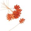 Factory Direct Craft Orange Wooden OakLeaf Picks Set of 12 - Orange Fall Leaf Cutouts for Thanksgiving and Halloween Arrangements and Decorating (12-1/2 Inches High) view 1