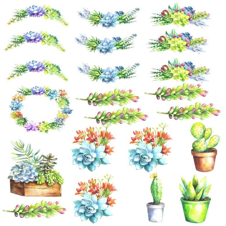 Watercolor Succulents 2 Cactus - 86087 - Choose Ceramic or Glass Decal - Choose from 3 Different Sizes