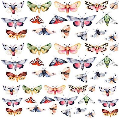 Colorful Moths Butterflies - 48398 - Choose Ceramic or Glass Decal - Choose from 3 Different Sizes