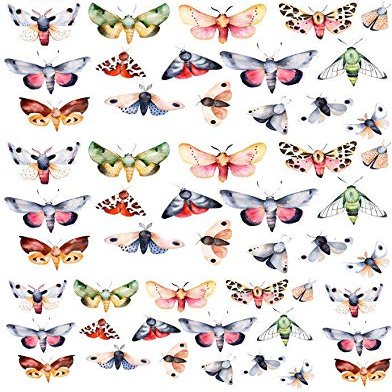 Colorful Moths Butterflies - 48398 - Choose Ceramic or Glass Decal - Choose from 3 Different Sizes