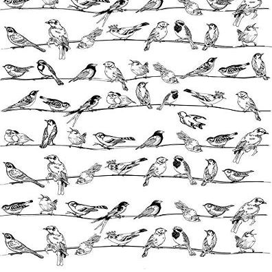 Birds On The Line - 33132 - Ceramic Decal - Enamel Decal - Glass Decal - Waterslide Decal - 3 Different Size Sheet (Images) to Choose from. Choose Either Ceramic (Enamel) or Glass Fusing Decals