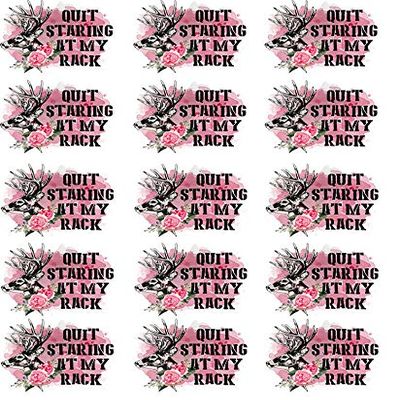 Quit Staring at My Rack - 81058 - Ceramic Decal - Enamel Decal - Glass Decal - Waterslide Decal - 3 Different Size Sheet (Images) to Choose from. Choose Either Ceramic (Enamel) or Glass Fusing Decals