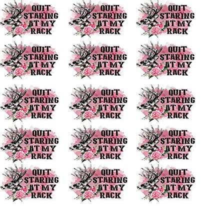 Quit Staring at My Rack - 81058 - Ceramic Decal - Enamel Decal - Glass Decal - Waterslide Decal - 3 Different Size Sheet (Images) to Choose from. Choose Either Ceramic (Enamel) or Glass Fusing Decals