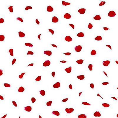 Red Flower Petals - 35064 - Ceramic Decal - Enamel Decal - Glass Decal - Waterslide Decal - 3 Different Size Sheet (Images) to Choose from. Choose Either Ceramic (Enamel) or Glass Fusing Decals