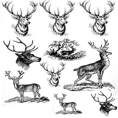 Stag Night Deer - 40339 - Ceramic Decal - Enamel Decal - Glass Decal - Waterslide Decal - 3 Different Size Sheet (Images) to Choose from. Choose Either Ceramic (Enamel) or Glass Fusing Decals