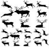 Antler Animals - 11480 - Ceramic Decal - Enamel Decal - Glass Decal - Waterslide Decal - 3 Different Size Sheet (Images) to Choose from. Choose Either Ceramic (Enamel) or Glass Fusing Decals view 1