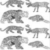 Abstract Animals - 11871 - Ceramic Decal - Enamel Decal - Glass Decal - Waterslide Decal - 3 Different Size Sheet (Images) to Choose from. Choose Either Ceramic (Enamel) or Glass Fusing Decals view 1