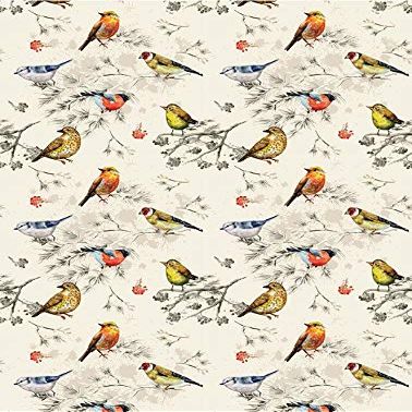 Bird Mania - 80184 - Ceramic Decal - Enamel Decal - Glass Decal - Waterslide Decal - 3 Different Size Sheet (Images) to Choose from. Choose Either Ceramic (Enamel) or Glass Fusing Decals