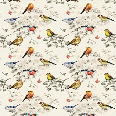 Bird Mania - 80184 - Ceramic Decal - Enamel Decal - Glass Decal - Waterslide Decal - 3 Different Size Sheet (Images) to Choose from. Choose Either Ceramic (Enamel) or Glass Fusing Decals