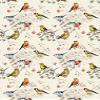 Bird Mania - 80184 - Ceramic Decal - Enamel Decal - Glass Decal - Waterslide Decal - 3 Different Size Sheet (Images) to Choose from. Choose Either Ceramic (Enamel) or Glass Fusing Decals view 1