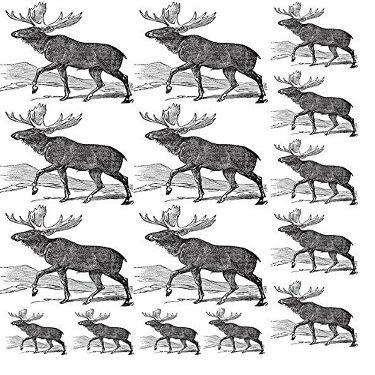 Banner Elk - 64744 - Ceramic Decal - Enamel Decal - Glass Decal - Waterslide Decal - 3 Different Size Sheet (Images) to Choose from. Choose Either Ceramic (Enamel) or Glass Fusing Decals