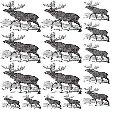 Banner Elk - 64744 - Ceramic Decal - Enamel Decal - Glass Decal - Waterslide Decal - 3 Different Size Sheet (Images) to Choose from. Choose Either Ceramic (Enamel) or Glass Fusing Decals