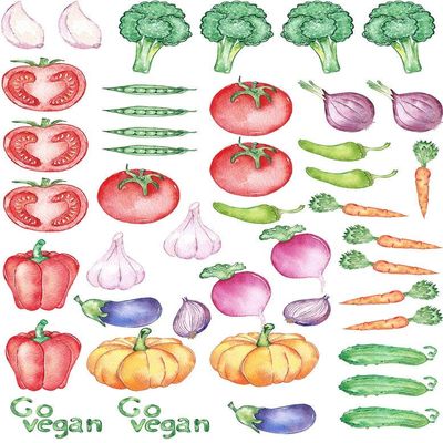 Go Vegan Vegetable Art - 89303 - Ceramic Decal - Enamel Decal - Glass Decal - Waterslide Decal - 3 Different Size Sheet (Images) to Choose from. Choose Either Ceramic (Enamel) or Glass Fusing Decals