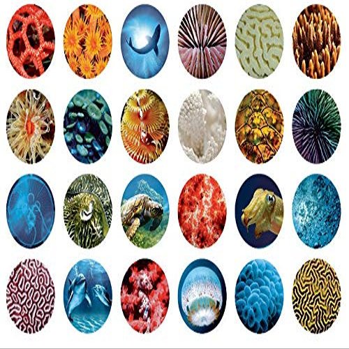 Sea Life 2-50567 - Ceramic Decal - Enamel Decal - Glass Decal - Waterslide Decal - 3 Different Size Sheet (Images) to Choose from. Choose Either Ceramic (Enamel) or Glass Fusing Decals