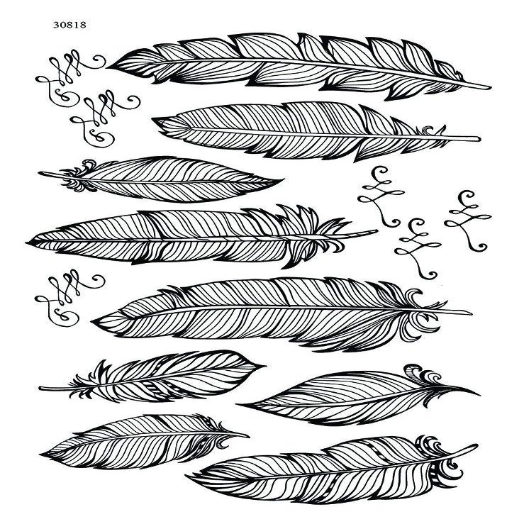 Broken Feathers - 30818 - Ceramic Decal - Enamel Decal - Glass Decal - Waterslide Decal - 3 Different Size Sheet (Images) to Choose from. Choose Either Ceramic (Enamel) or Glass Fusing Decals