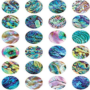 Abalone - 99657 - Ceramic Decal - Enamel Decal - Glass Decal - Waterslide Decal - 3 Different Size Sheet (Images) to Choose from. Choose Either Ceramic (Enamel) or Glass Fusing Decals