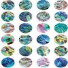 Abalone - 99657 - Ceramic Decal - Enamel Decal - Glass Decal - Waterslide Decal - 3 Different Size Sheet (Images) to Choose from. Choose Either Ceramic (Enamel) or Glass Fusing Decals view 1