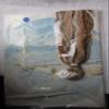 Cathy Needlecraft Pheasant Embroidery Kit 0511 view 2
