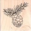 Impression Obsession D20579 Pinecone 2 Wood Mounted Rubber Stamp view 1